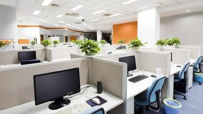 Làn sóng doanh nghiệp mua thay vì thuê văn phòng